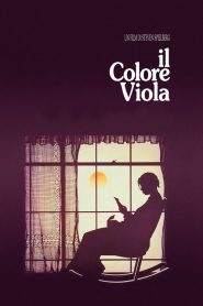 Il colore viola [HD] (1985)