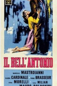 Il bell’Antonio [HD] (1960)