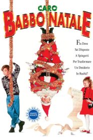 Caro Babbo Natale (1991)