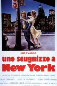 Uno scugnizzo a New York  (1984)