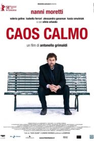 Caos calmo  (2007)