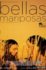 Bellas Mariposas (2013)