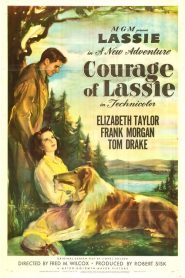 Il coraggio di Lassie  (1946)