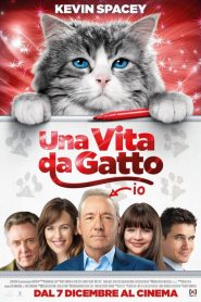 Una vita da gatto  [HD] (2016)