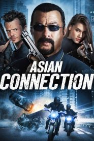 The Asian Connection  [HD] (2016)