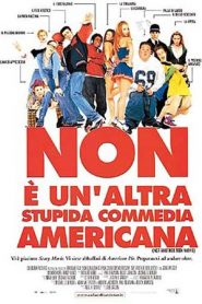 Non è un’altra stupida commedia americana [HD] (2001)