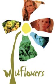 Fiore bruciato [HD] (1999)
