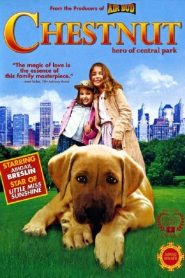 Chestnut – L’eroe di Central Park  [HD] (2004)