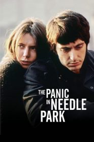 Panico a Needle Park [HD] (1971)