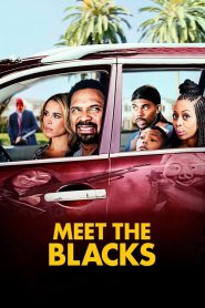 Meet the Blacks [HD] (2016)