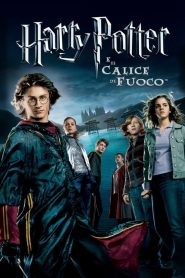 Harry Potter e il calice di fuoco  [HD] (2005)