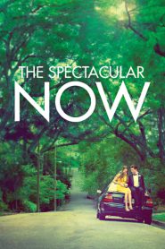 The Spectacular Now [HD] (2013)