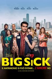The Big Sick: Il matrimonio si può evitare… l’amore no [HD] (2017)