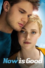 Now Is Good [HD] (2012)