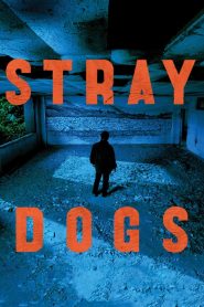 Stray Dogs [Sub-ITA] (2013)