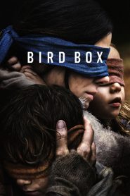 Bird Box   [HD] (2018)