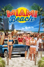 Miami Beach [HD] (2016)