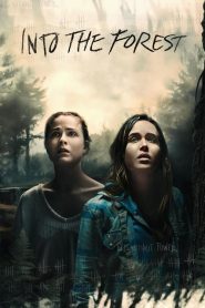 Into the Forest  [HD] (2015)