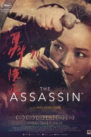 The Assassin  [HD] (2016)