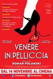 Venere in pelliccia [HD] (2013)