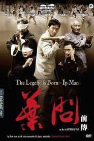 The Legend Is Born: Ip Man [HD] (2010)