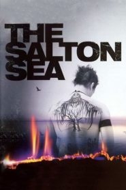 Salton Sea – Incubi e menzogne [HD] (2002)