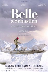 Belle & Sébastien 3 – Amici per sempre