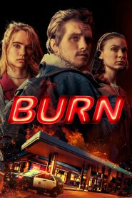 Burn – Una notte d’invenro [HD] (2019)