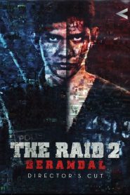 The Raid 2: Berandal  [HD] (2014)