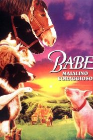 Babe – Maialino coraggioso [HD] (1995)