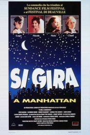 Si gira a Manhattan [HD] (1995)