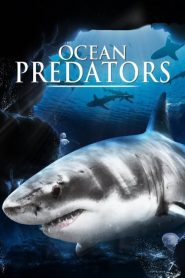 Ocean Predators  [HD] (2013)