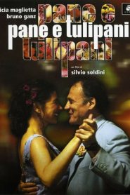 Pane e tulipani [HD] (2000)