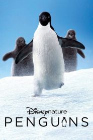 Penguins [HD] (2019)