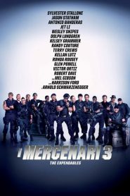 I mercenari 3  [HD] (2014)