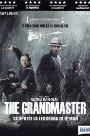 The Grandmaster  [HD] (2013)
