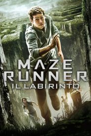 Maze Runner – Il labirinto  [HD] (2014)