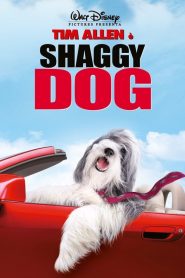 Shaggy Dog – Papà che abbaia non morde (2006)