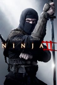 Ninja: Shadow of a Tear [Sub-ITA] (2013)