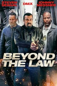 Beyond the Law [HD] (2019)