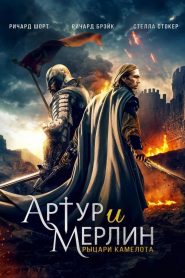 Arthur & Merlin: Knights of Camelot [HD] (2020)