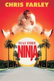 Mai dire ninja (1997)