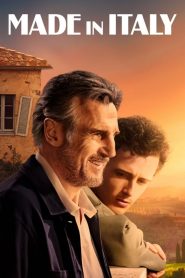 Made in Italy [HD] (2020)