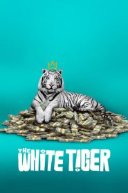 La tigre bianca [HD] (2021)