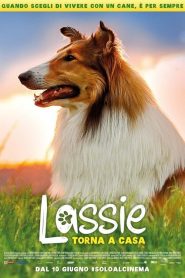 Lassie torna a casa [HD] (2020)