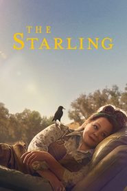 Il Nido Dello Storno – The Starling [HD] (2021)