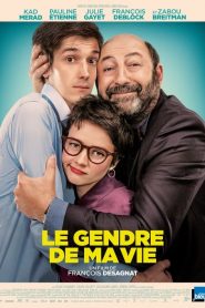 Le Gendre de ma vie [HD] (2018)