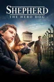 Shepherd: The Hero Dog [HD] (2020)