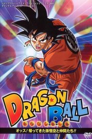 Dragon Ball Z: Il Ritorno Di Goku E Dei Suoi Amici [Sub-ITA] (2008)