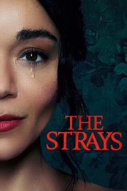 The Strays [HD] (2023)